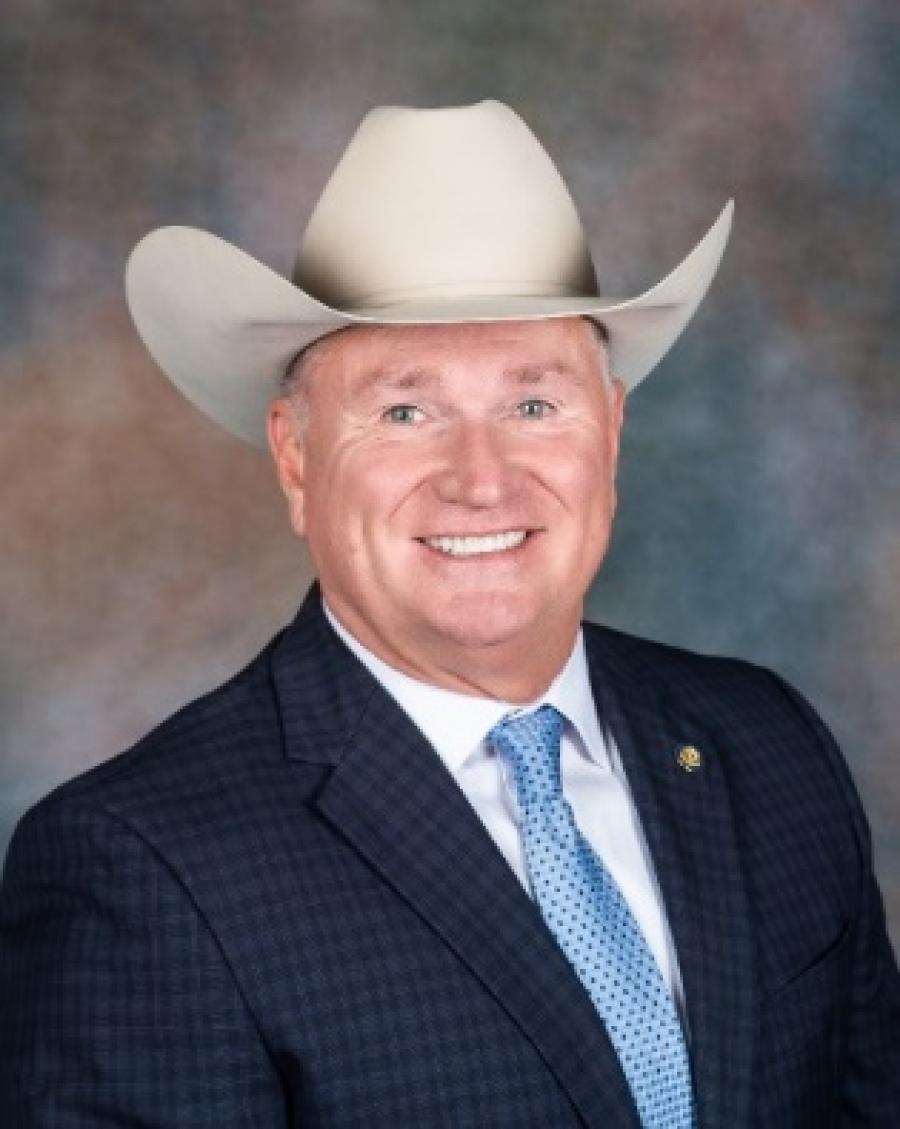 Freeman F. Martin has been appointed the new Director of the Texas Department of Public Safety Freeman F. Martin has been appointed the new Director of the Texas Department of Public Safety