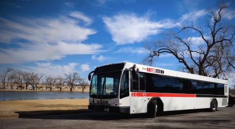 Citibus Offers Free Fare on Election Day to Boost Voter Turnout in Lubbock