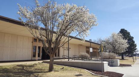 Lubbock Mahon Public Library