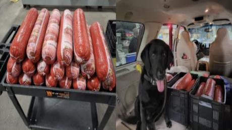 CBP Seizes Smuggled Bologna and Medication at El Paso Port of Entry