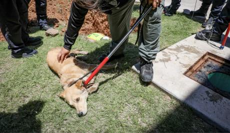 A dog trapped in a storm drain near the Amazon Fulfillment Facility was rescued Wednesday morning