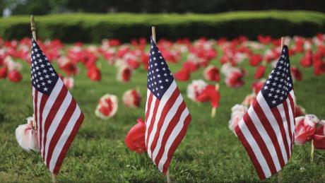 Memorial Day Flags