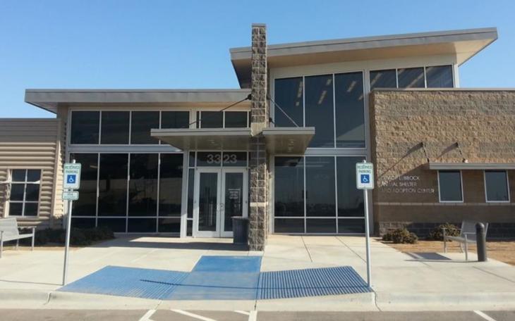 Lubbock Animal Services