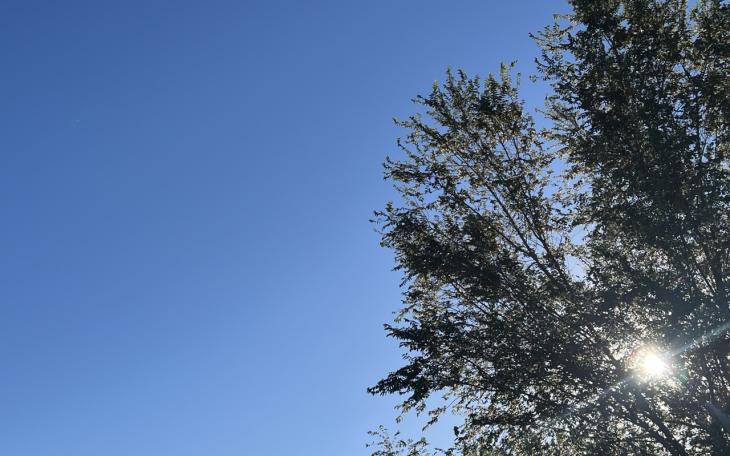 Clear and Sunny Skies