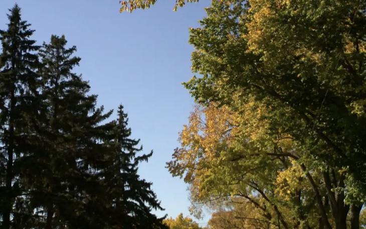 South Plains Prepares for Final Warm Week Before Halloween