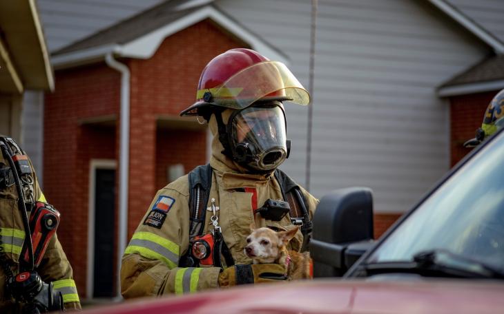 Firefighters Rescue Puppy in Apartment Fire, No Injuries
