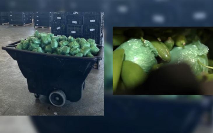 CBP Officers Seized Methamphetamine concealed in a shipment of Serrano Peppers