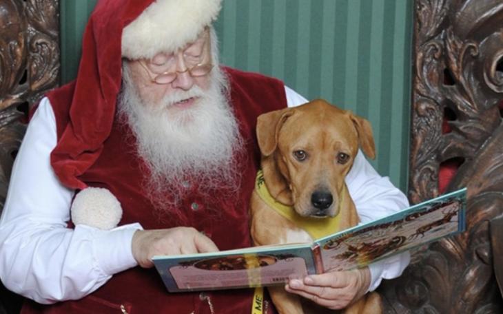 Photos, Breakfast, and Pets with Santa at South Plains Mall