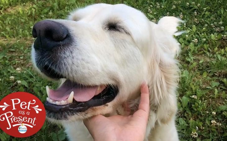 Lubbock Animal Services