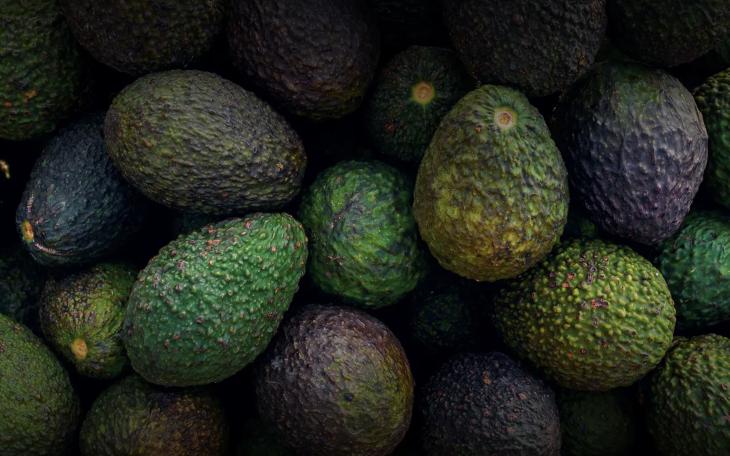 Hill County Deputies Recover Over 34,000 Stolen Avocados in Unlikely Cargo Theft Bust