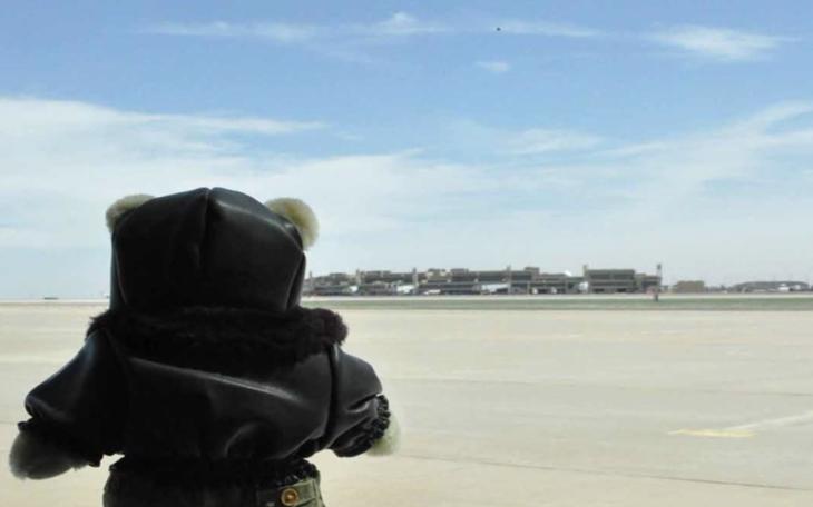 Stuffie Night at the Museum