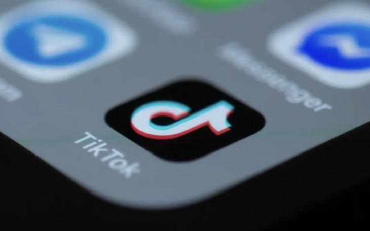TikTok App on iPhone