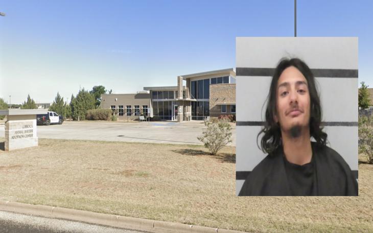 Pedro Cantu, 19, is facing charges of aggravated robbery after allegedly stealing a dog from the Lubbock Animal Shelter and dragging an Animal Control Officer with his vehicle