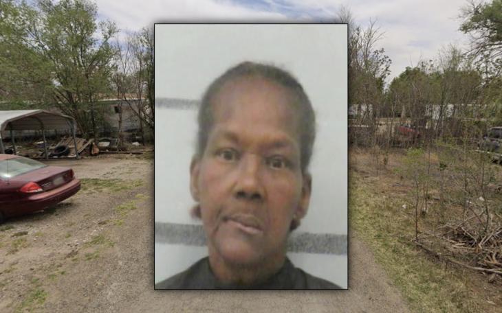 Ava Hannon, 55, was arrested and charged with arson after a trailer fire spread to nearby properties