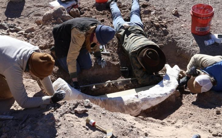 Hunter Finds Mammoth Tusk on West Texas Ranch