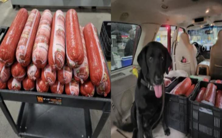 CBP Seizes Smuggled Bologna and Medication at El Paso Port of Entry