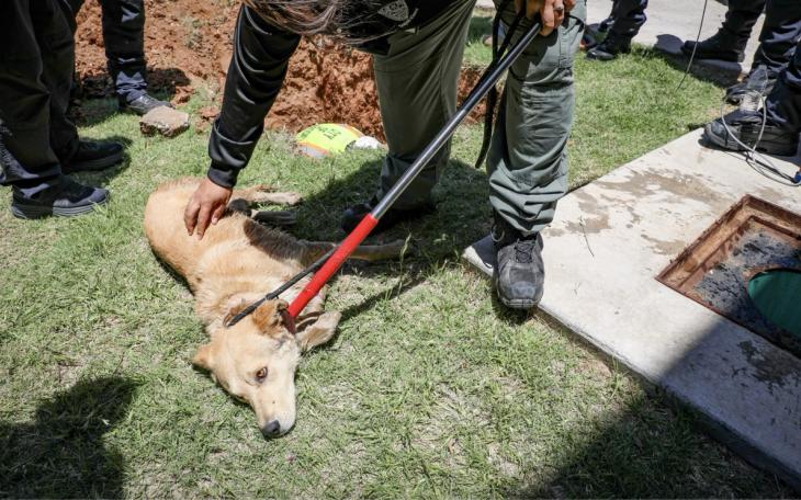 A dog trapped in a storm drain near the Amazon Fulfillment Facility was rescued Wednesday morning