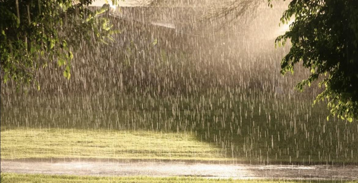 Sunny and Rainy Sunny and Rainy